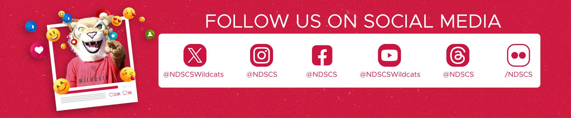 Follow us on social media