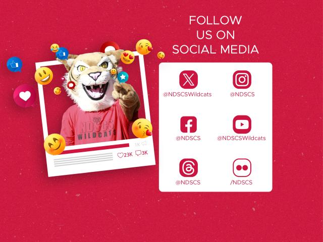 Follow us on social media