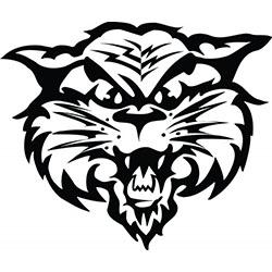 Wildcat logo